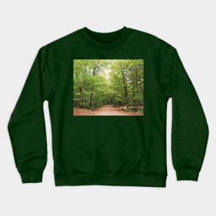 Passing Through - Algonquin Provincial Park Crewneck Sweatshirt